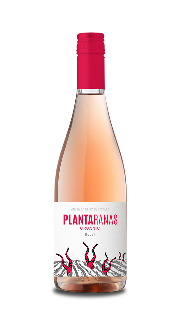 Plantaranas rose