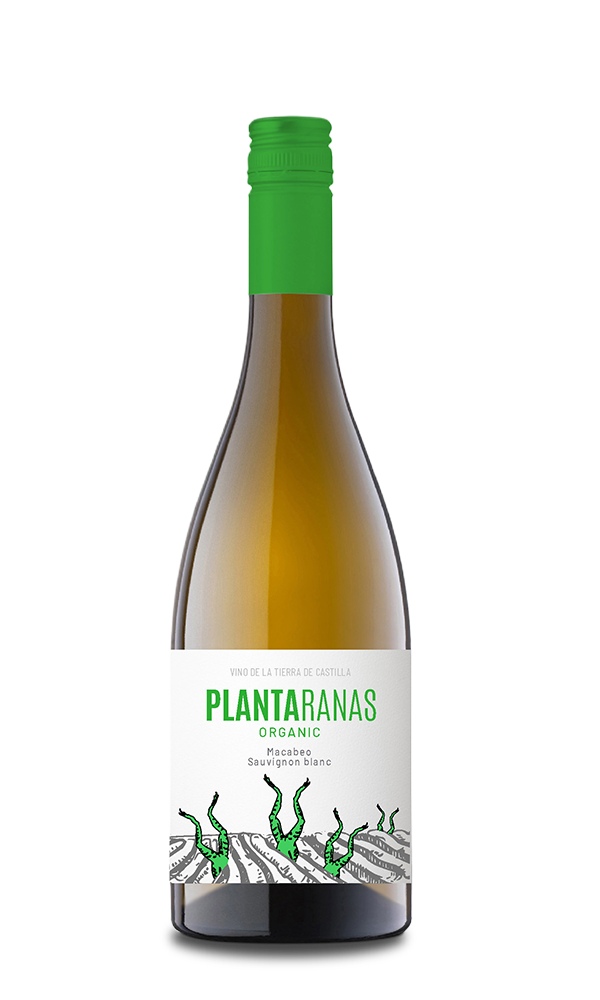 Plantaranas white